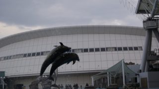 イルカ
