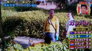 テレビ番組
