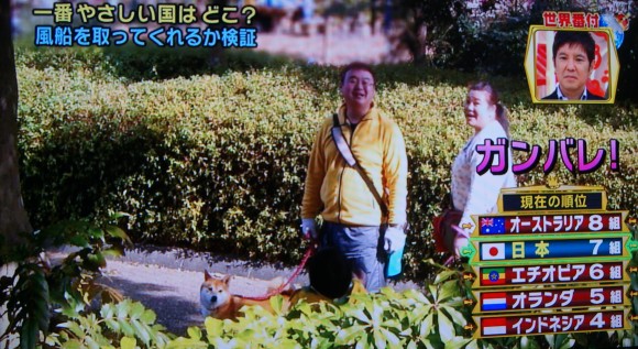 テレビ番組