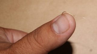 釣り針