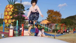 フルーツパーク