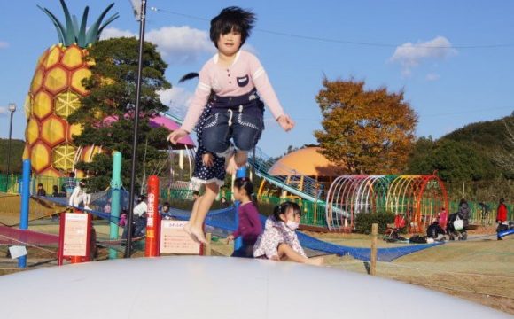 フルーツパーク