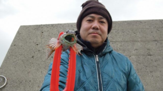 謎の魚
