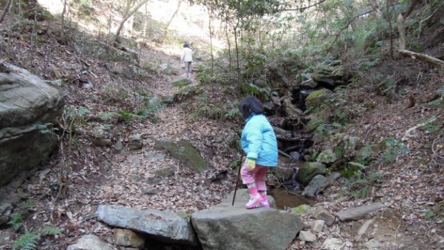 茶臼山登山