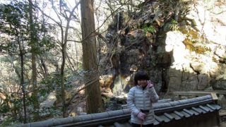 茶臼山登山