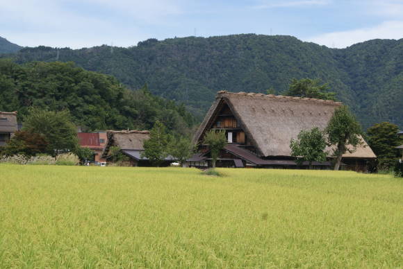 白川郷