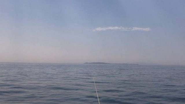 佐久島