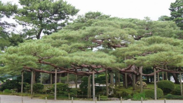 兼六園