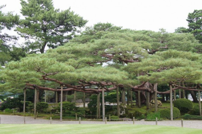 兼六園