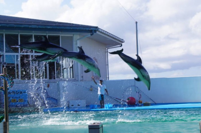 能登島水族館