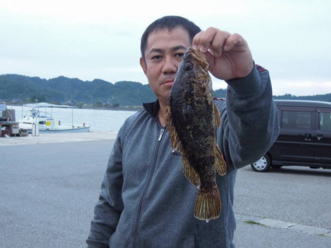 タケノコメバル