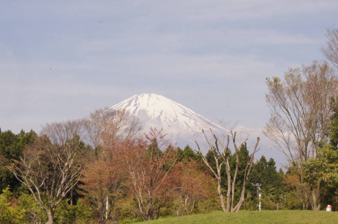 富士山