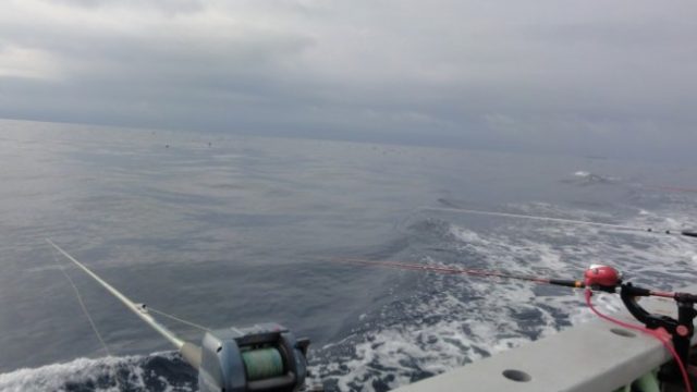 イサキ釣り