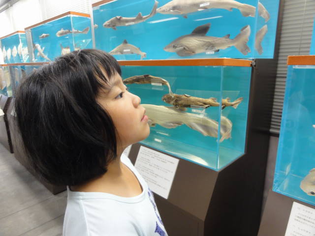 水産科学館