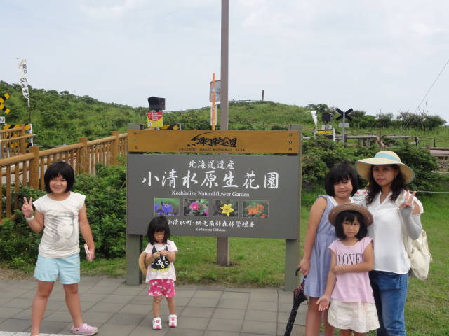 小清水原生花園