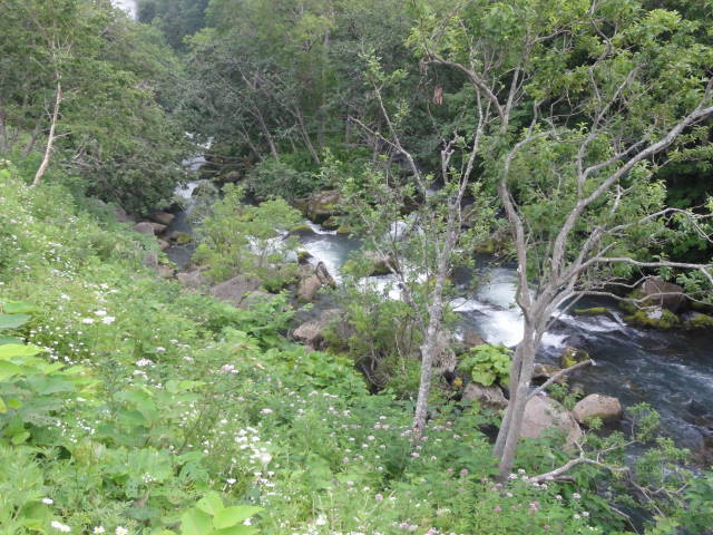 熊の湯