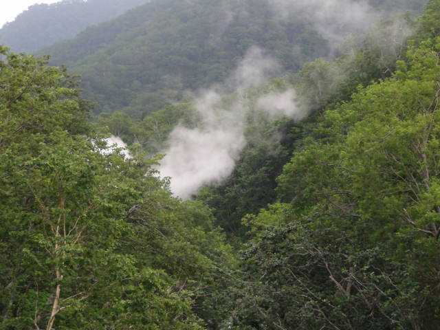 熊の湯