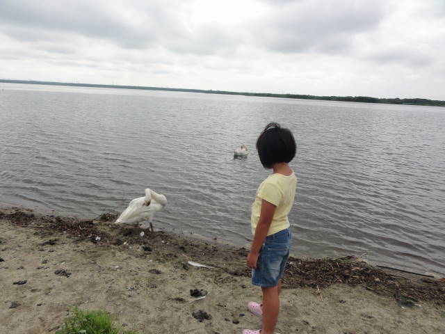 ウトナイ湖