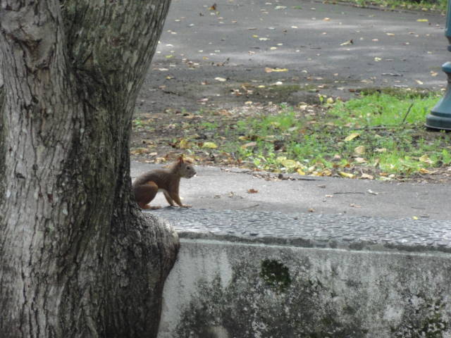 DSC09921