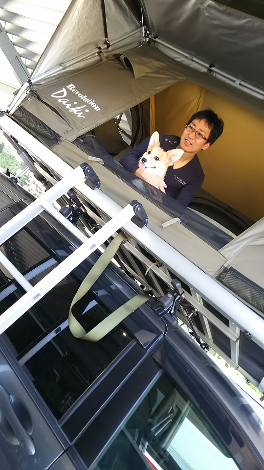 ドッグショーでルーフテント