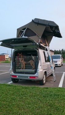 愛犬とルーフテント