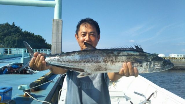 サワラ