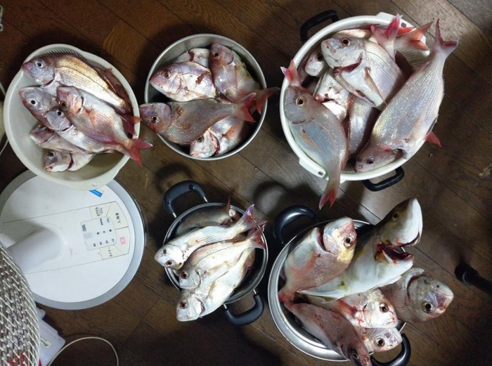 大漁