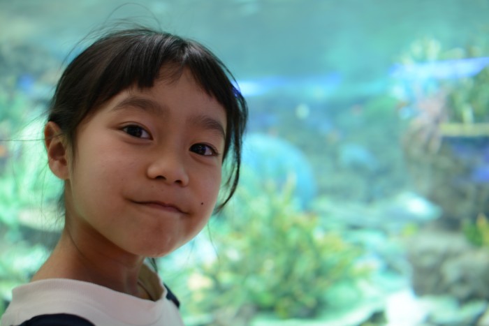 名古屋港水族館