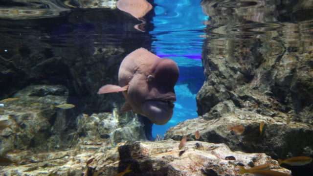 マリンピア日本海